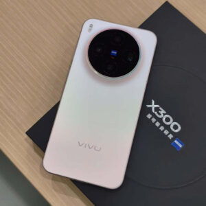 Vivo X300